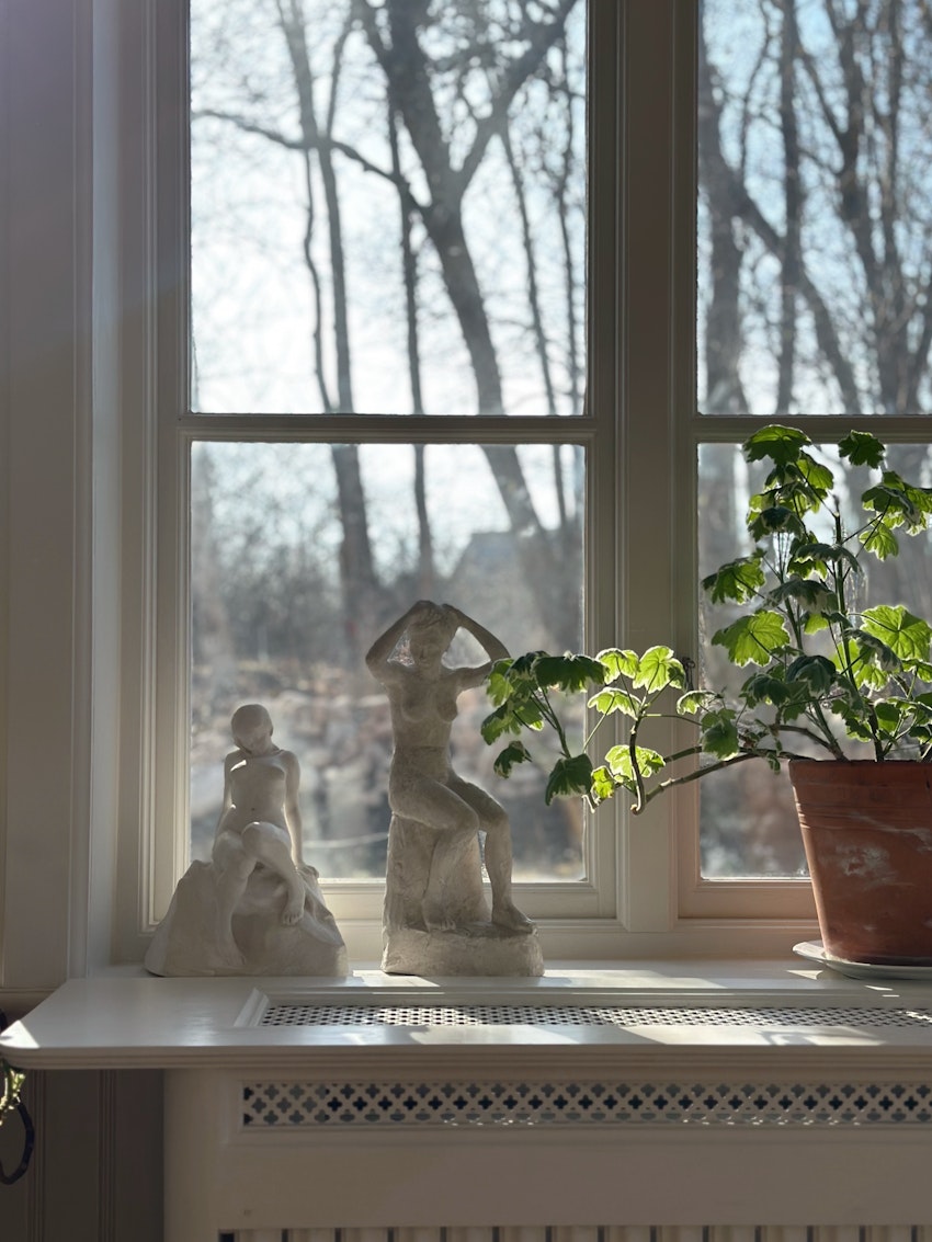 Jag bloggar varje dag, foto #6 av Julia Khouri