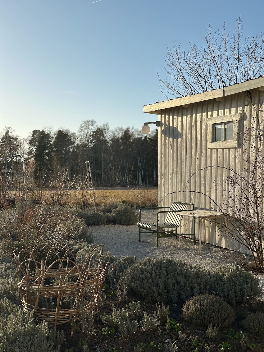 Jag bloggar varje dag, foto #4 av Julia Khouri