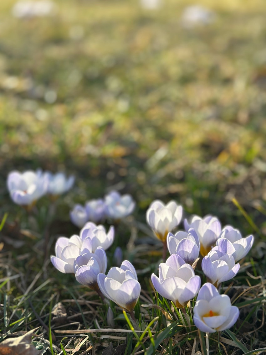 Jag bloggar varje dag, foto #2 av Julia Khouri