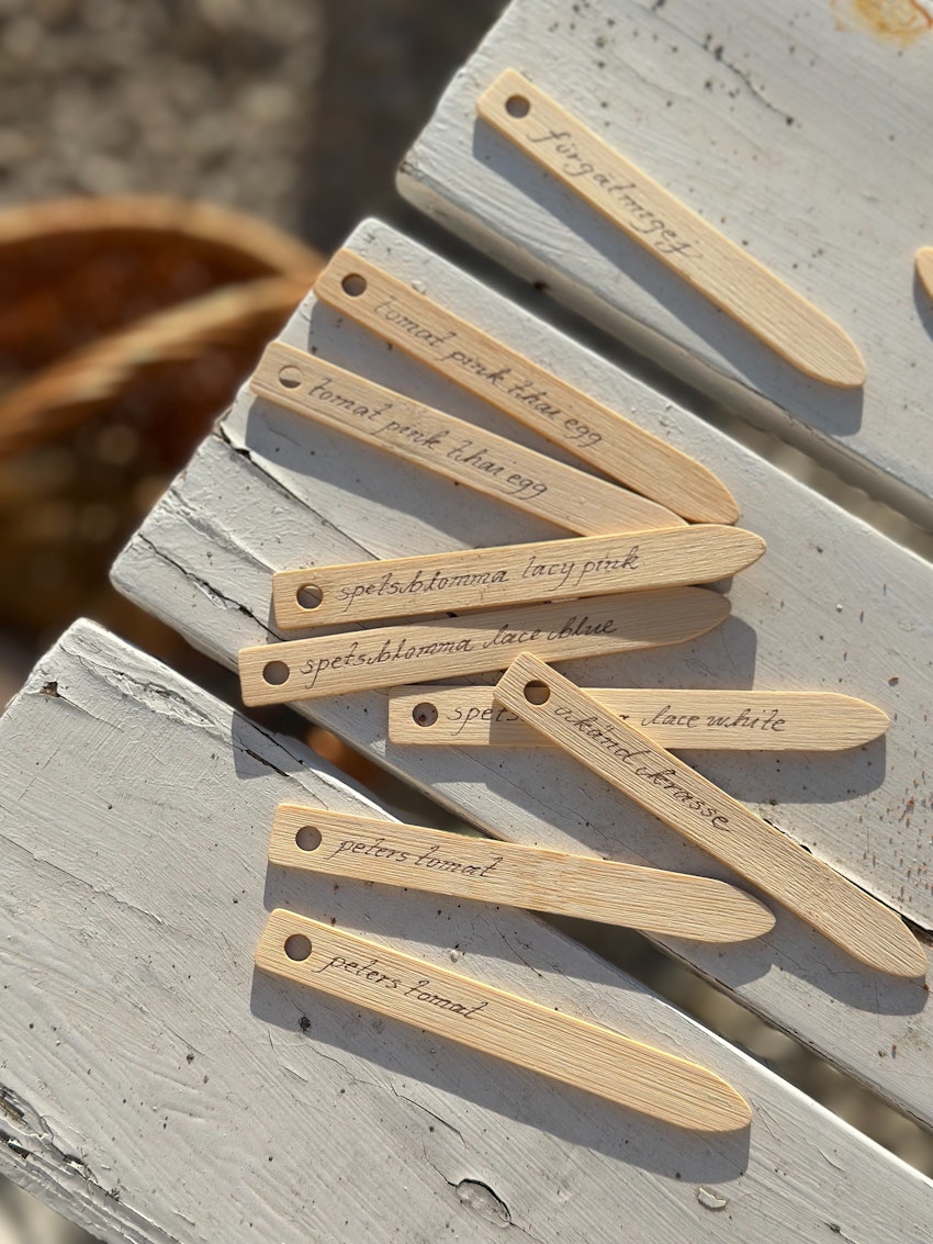 Jag bloggar varje dag, foto #19 av Julia Khouri