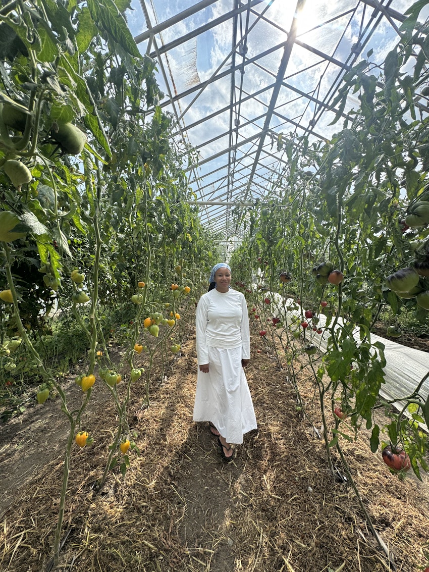 2 recept & en helg, foto #1 av Marion Ringborg