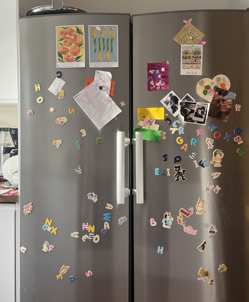 Det här är mitt kylskåp, foto #1 av Marion Ringborg