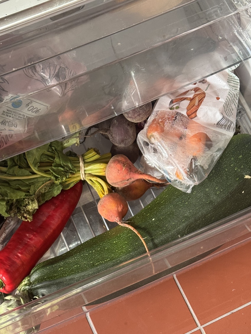 Det här är mitt kylskåp, foto #3 av Marion Ringborg