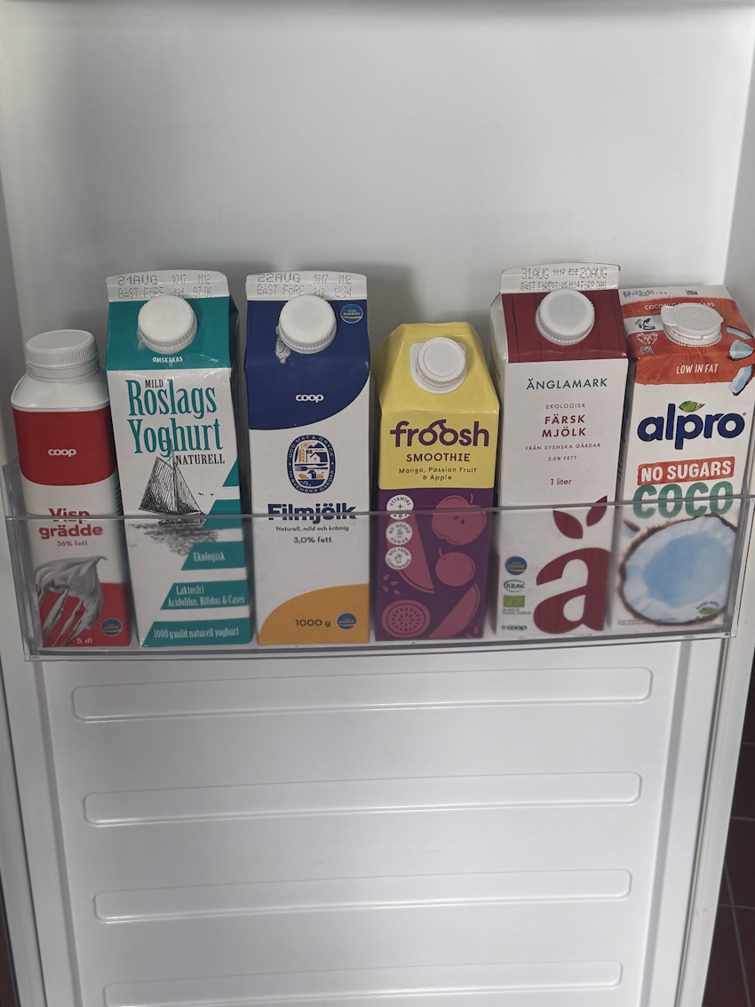Det här är mitt kylskåp, foto #5 av Marion Ringborg