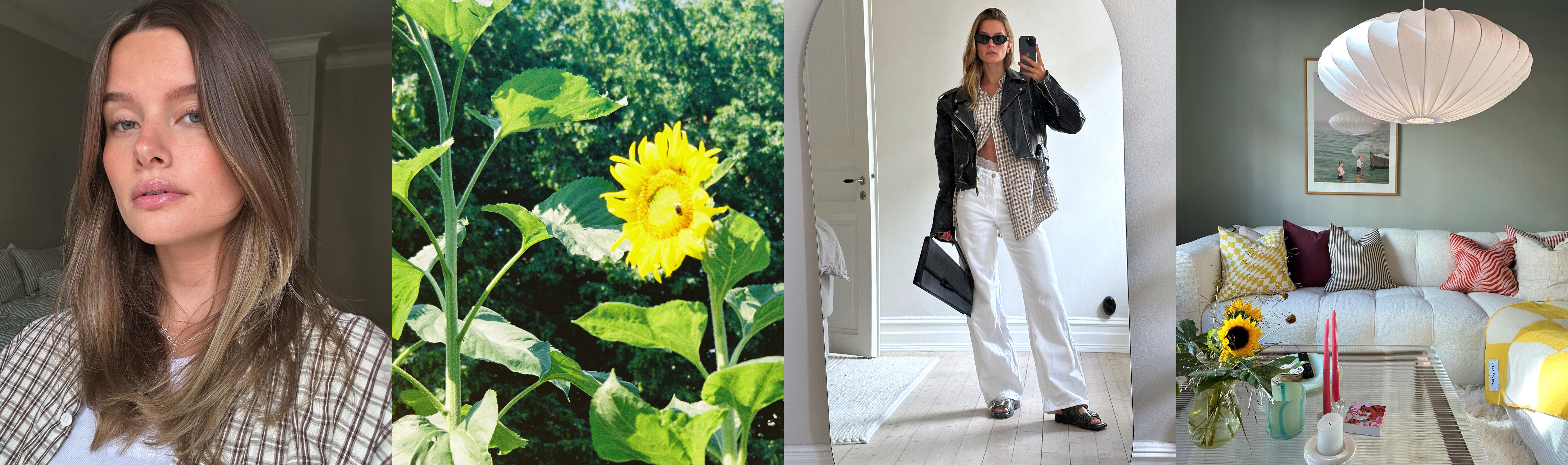 Matilda Hellströms blogg