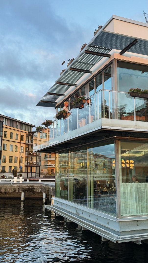 Vilken vändning livet tog under 2025, foto #2 av Paula Rosas