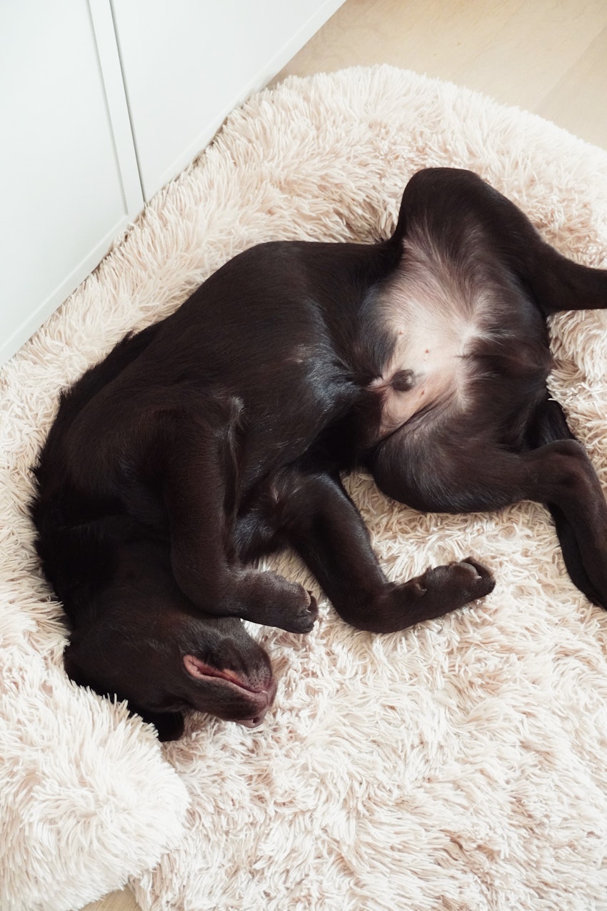 Ni vet när oron har satt sig…, foto #2 av Paula Rosas