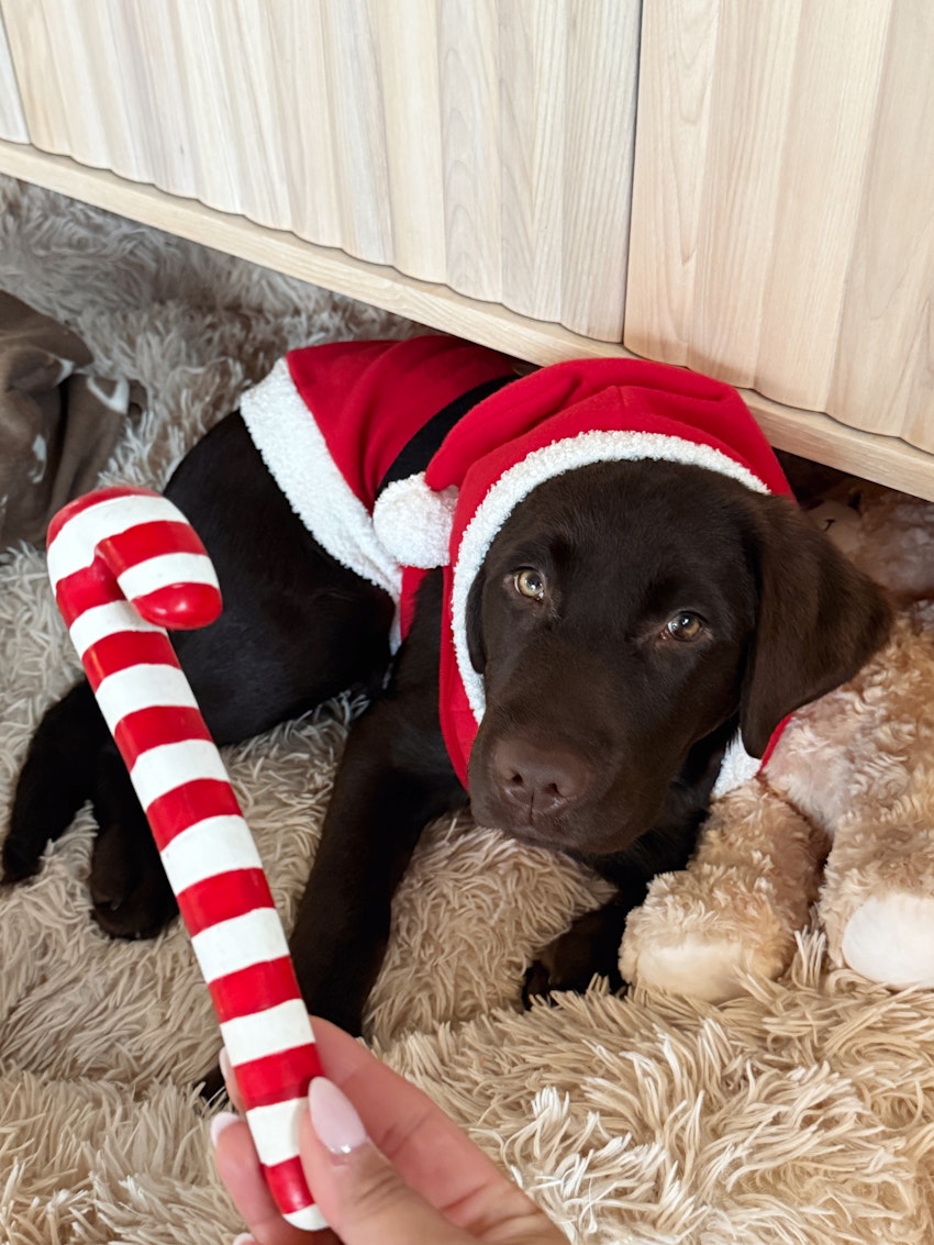 10 saker som fortsätter förvåna mig, foto #2 av Paula Rosas