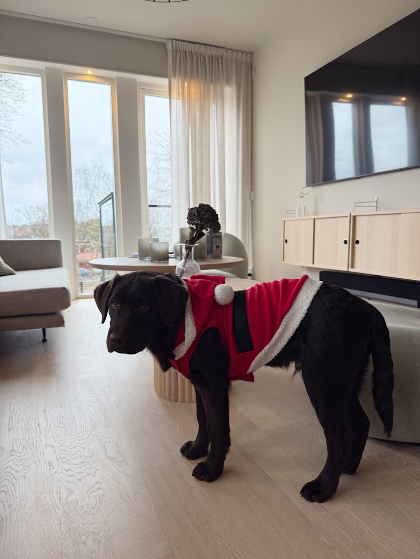 10 saker som fortsätter förvåna mig, foto #1 av Paula Rosas