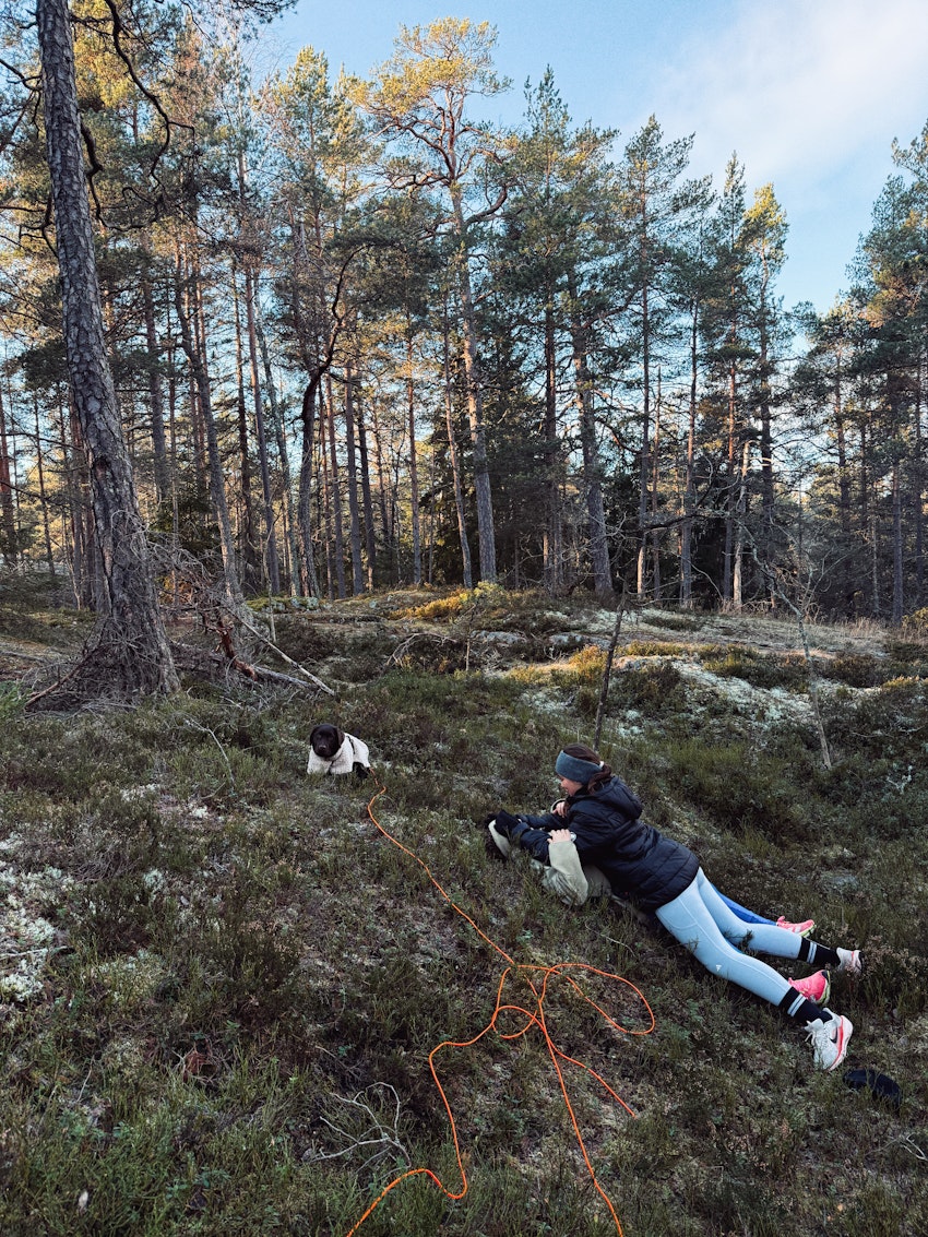 Helgstatus, foto #1 av Paula Rosas