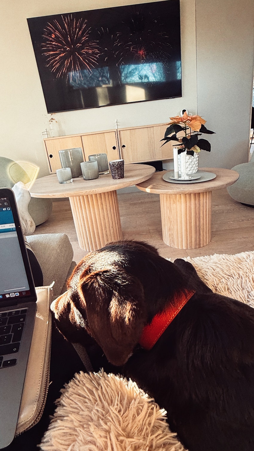 Helgstatus, foto #6 av Paula Rosas