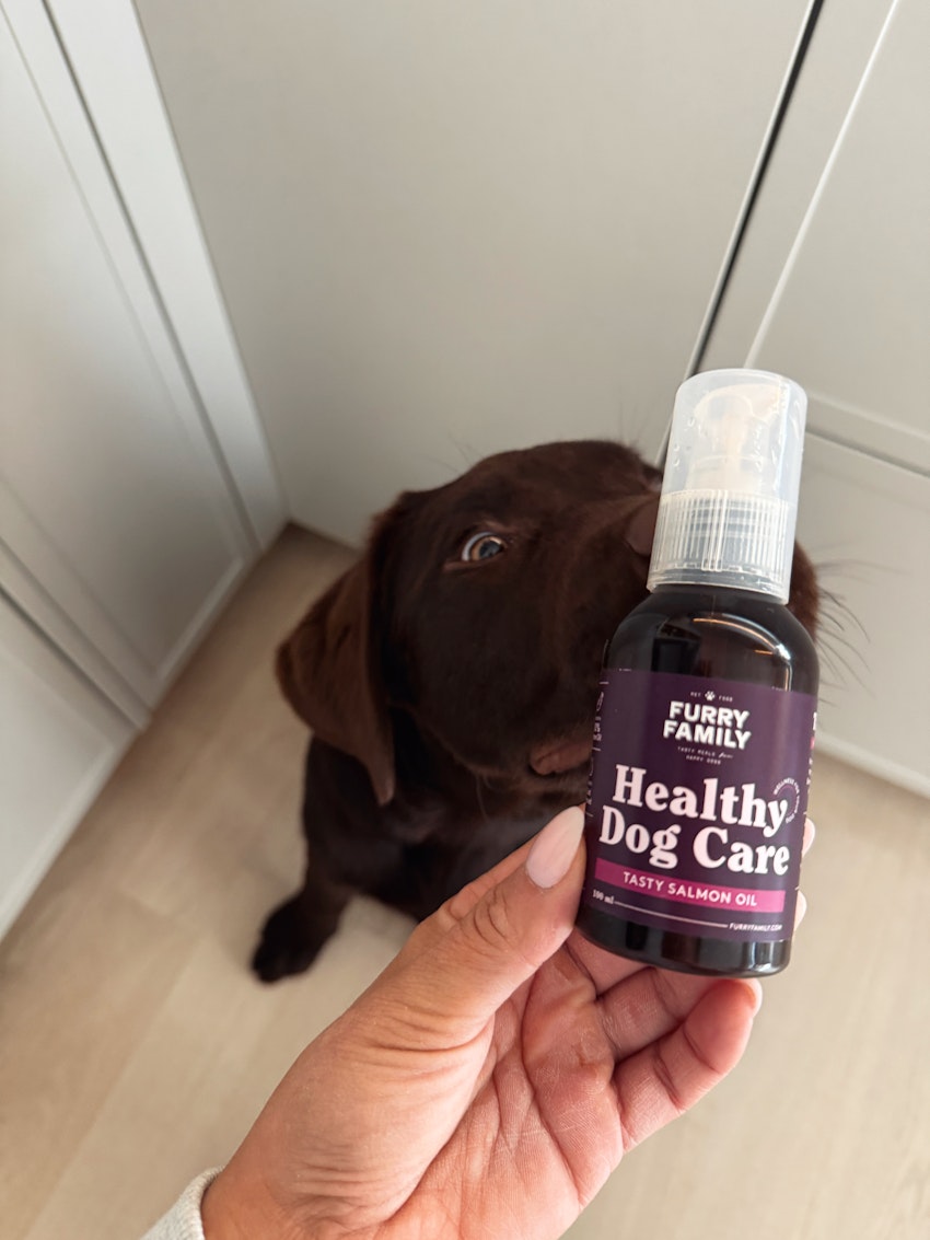 Fredagsstatus, foto #1 av Paula Rosas