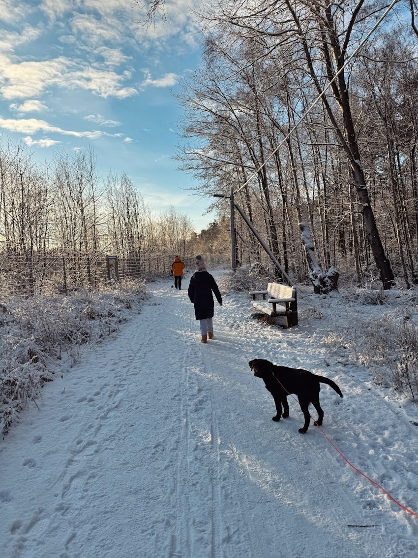 Helgstatus, foto #4 av Paula Rosas