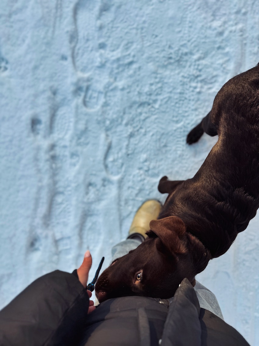 Helgstatus, foto #5 av Paula Rosas