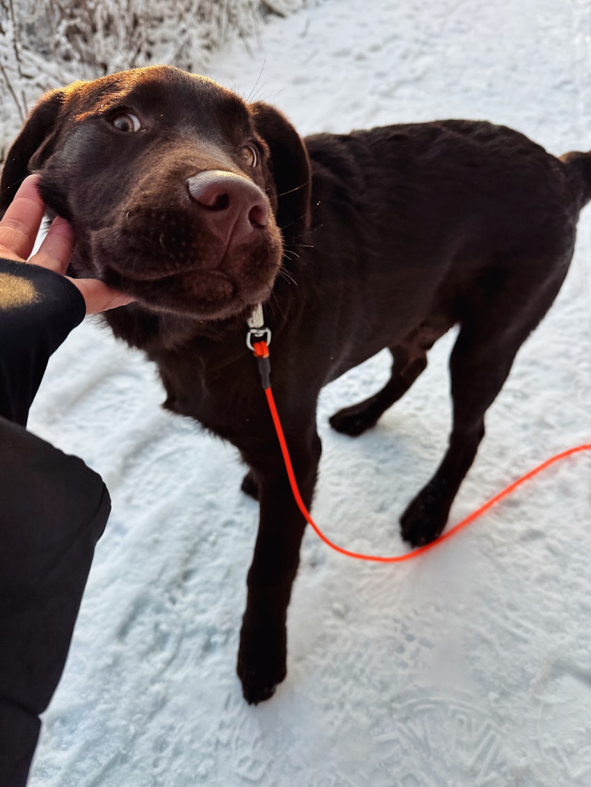 Helgstatus, foto #6 av Paula Rosas