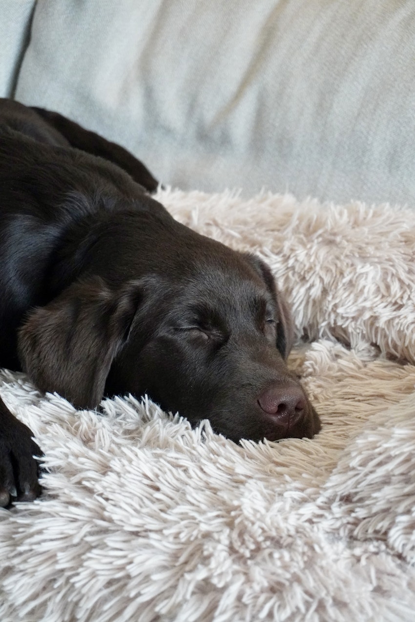 Glimtar hemifrån just nu, foto #5 av Paula Rosas