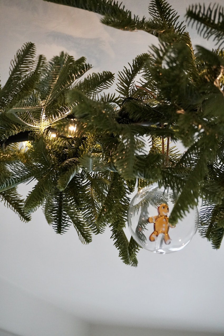 Glimtar hemifrån just nu, foto #9 av Paula Rosas