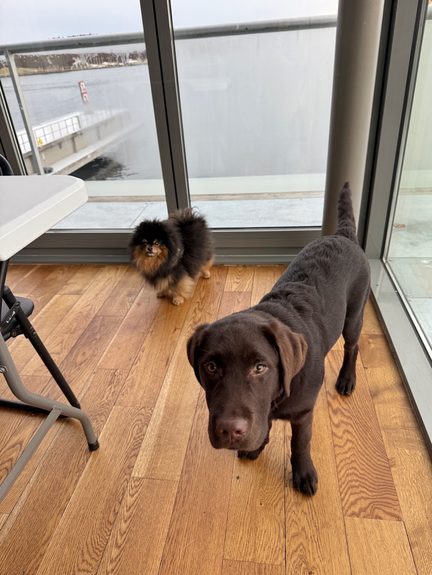 Fredagsstatus, foto #10 av Paula Rosas