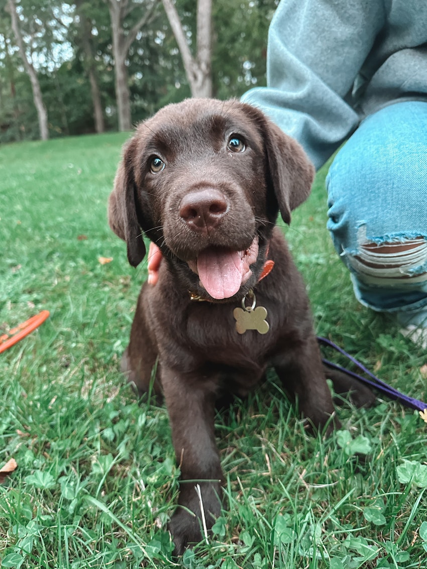 Vilken vändning livet tog under 2025, foto #8 av Paula Rosas