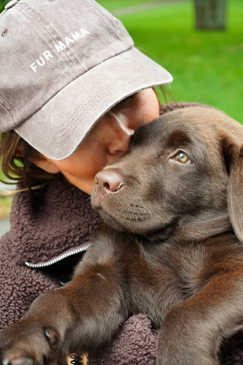 Vilken vändning livet tog under 2025, foto #13 av Paula Rosas