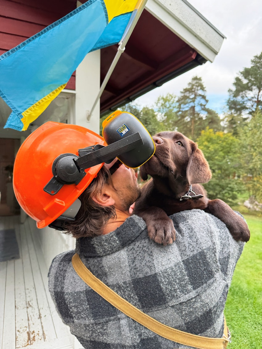 Vilken vändning livet tog under 2025, foto #10 av Paula Rosas