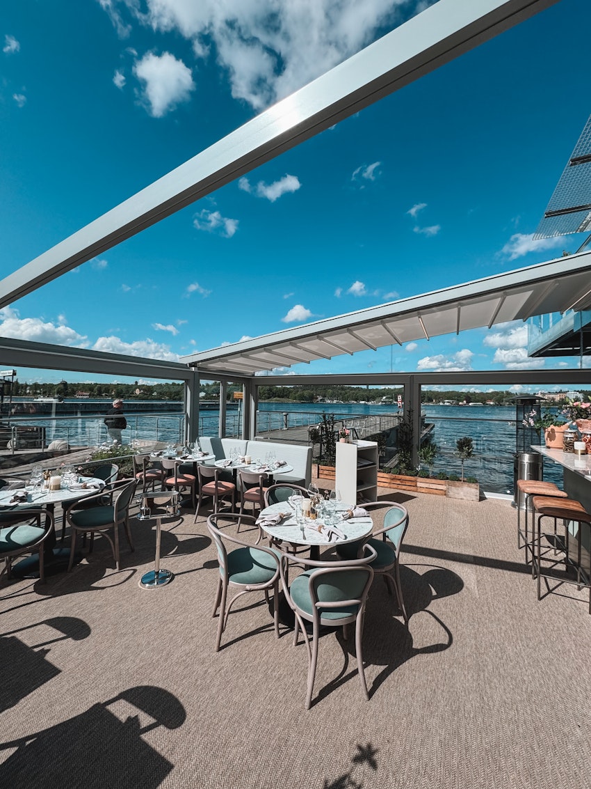 Vilken vändning livet tog under 2025, foto #6 av Paula Rosas