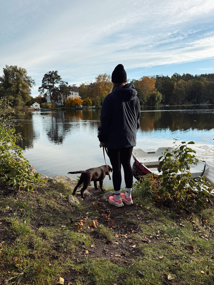 Ni vet när oron har satt sig…, foto #4 av Paula Rosas
