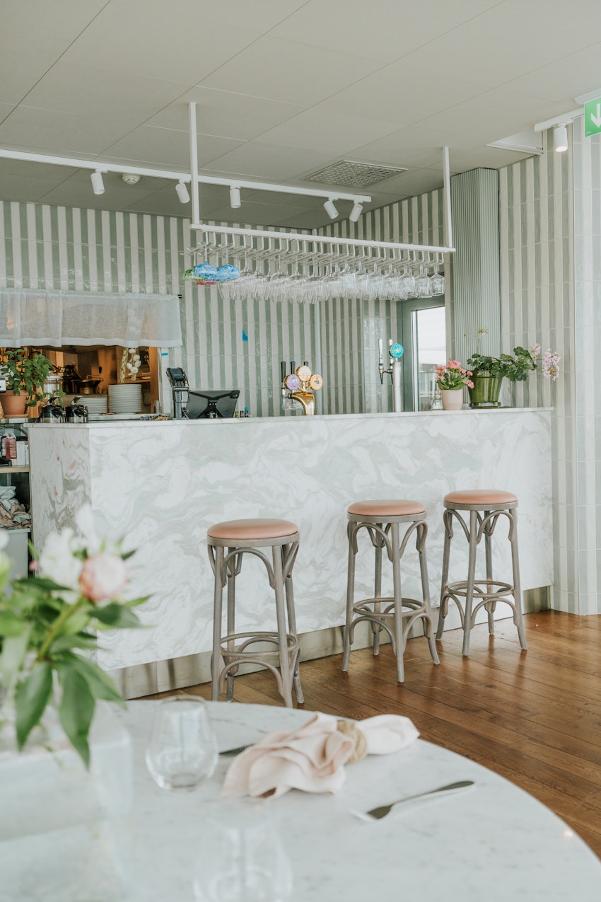 Vilken vändning livet tog under 2025, foto #4 av Paula Rosas