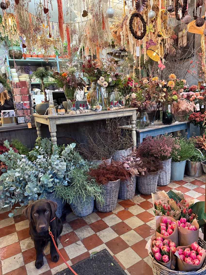 Tisdagsstatus, foto #8 av Paula Rosas