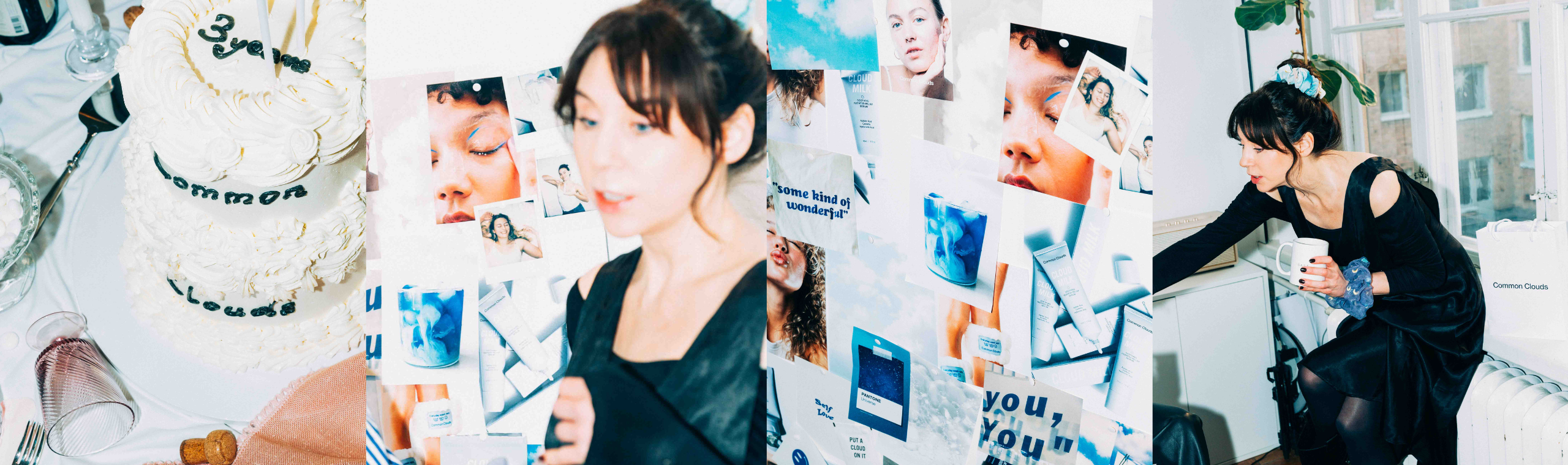 Maria Ahlgrens blogg