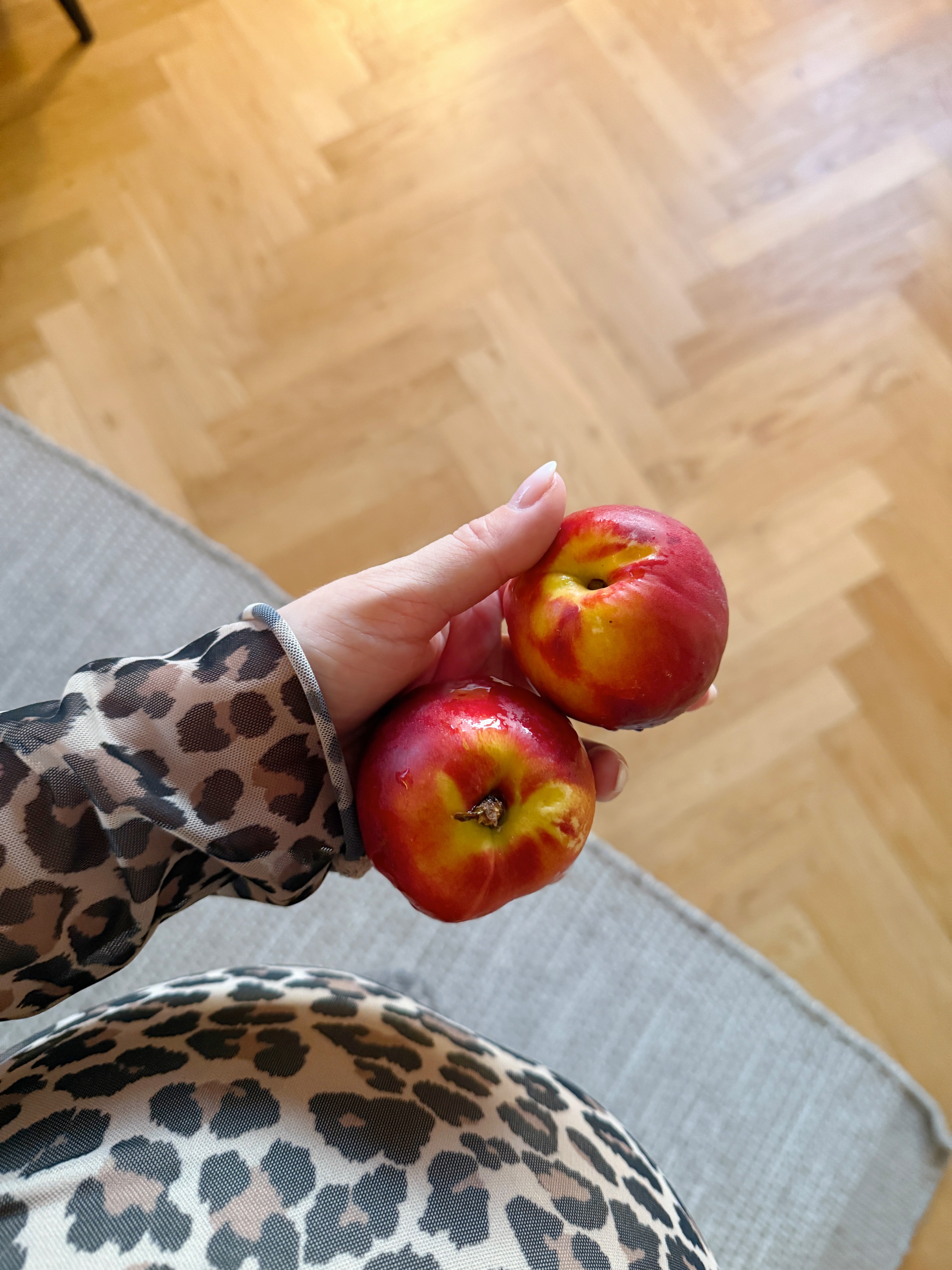 Kvällssnackset x 7
