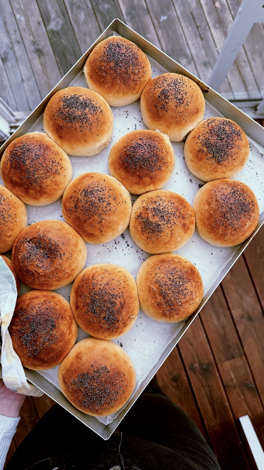 Vallmofrallor, foto #1 av Anja Admin