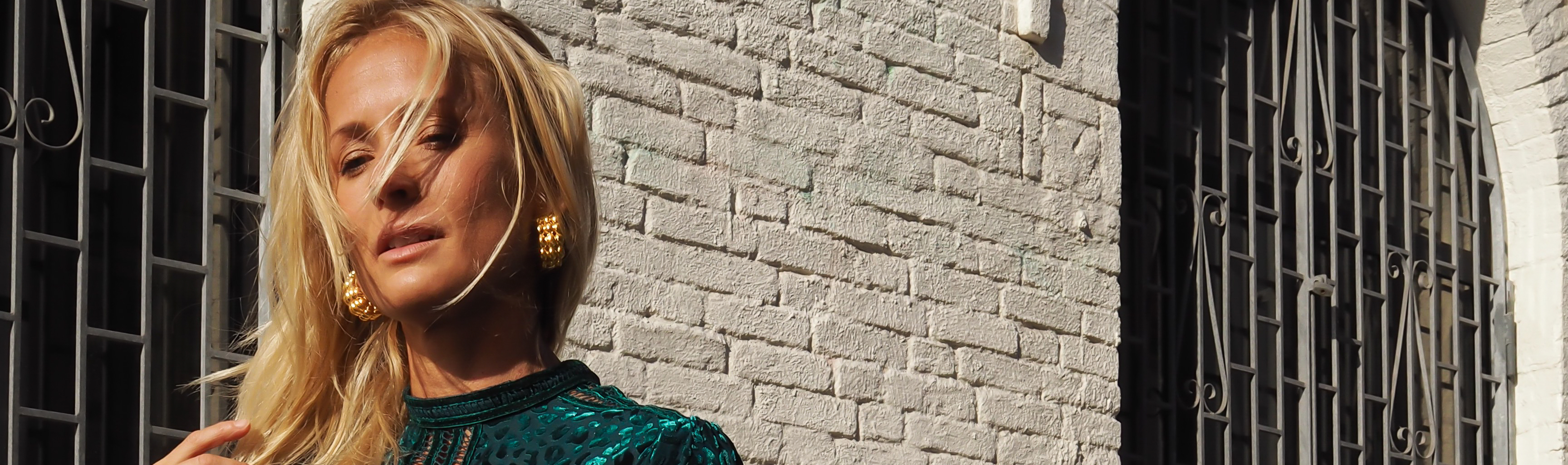 Elin Lannsjös blogg