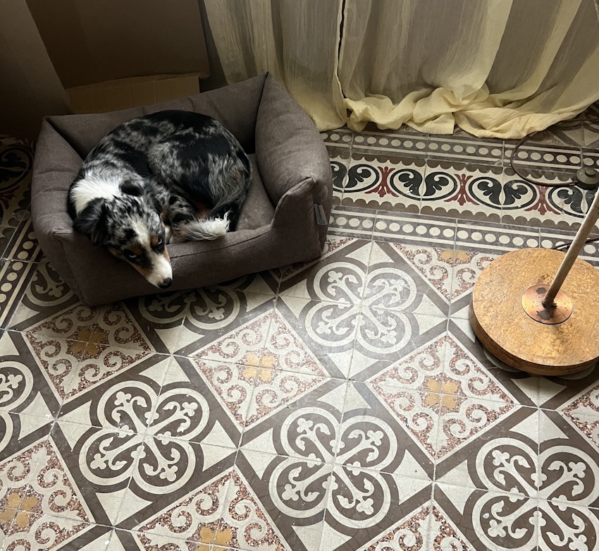 Hjälp mig bestämma matta, foto #2 av Brita Zackari