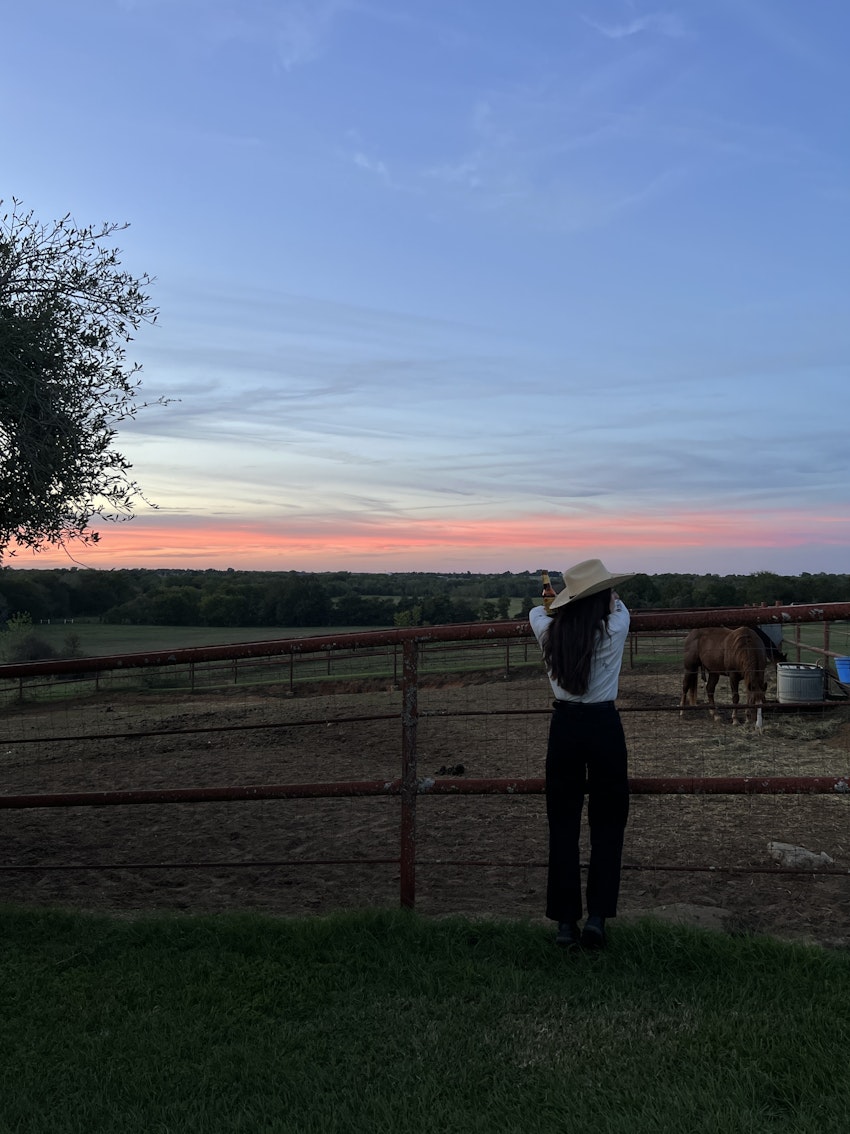 den stora höstlistan, foto #4 av Gabriella Skog