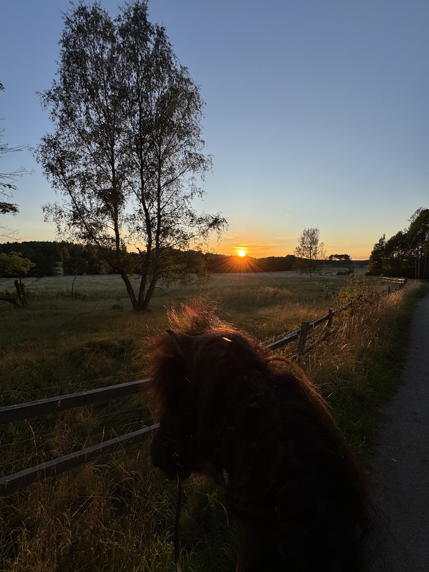 en liten livsuppdatering, foto #7 av Gabriella Skog