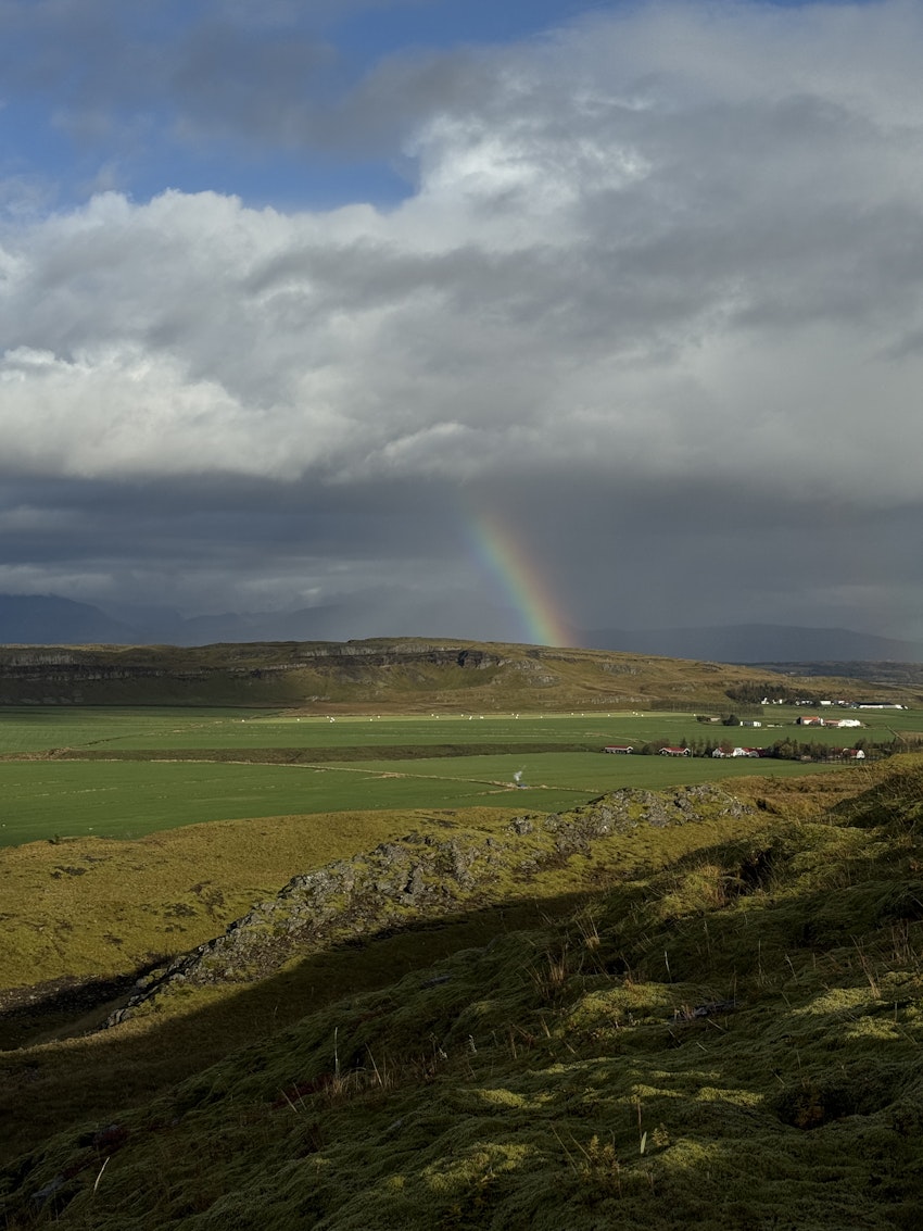 gråt på bauhaus, foto #16 av Gabriella Skog