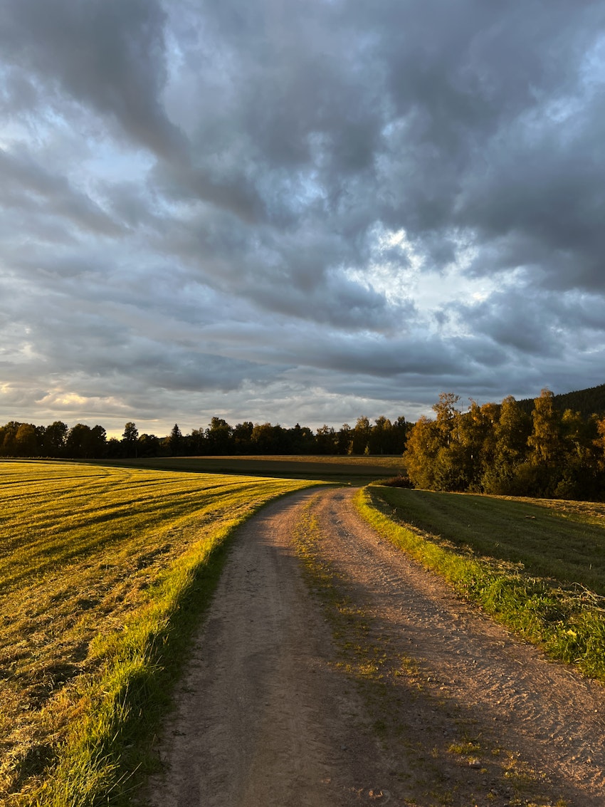 gråt på bauhaus, foto #1 av Gabriella Skog