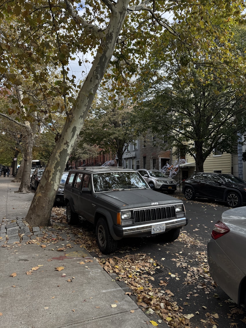 en helg i nuevayol, foto #15 av Gabriella Skog