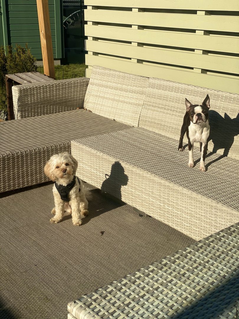 Ralph och Svea ute i solen på uteplatsen.