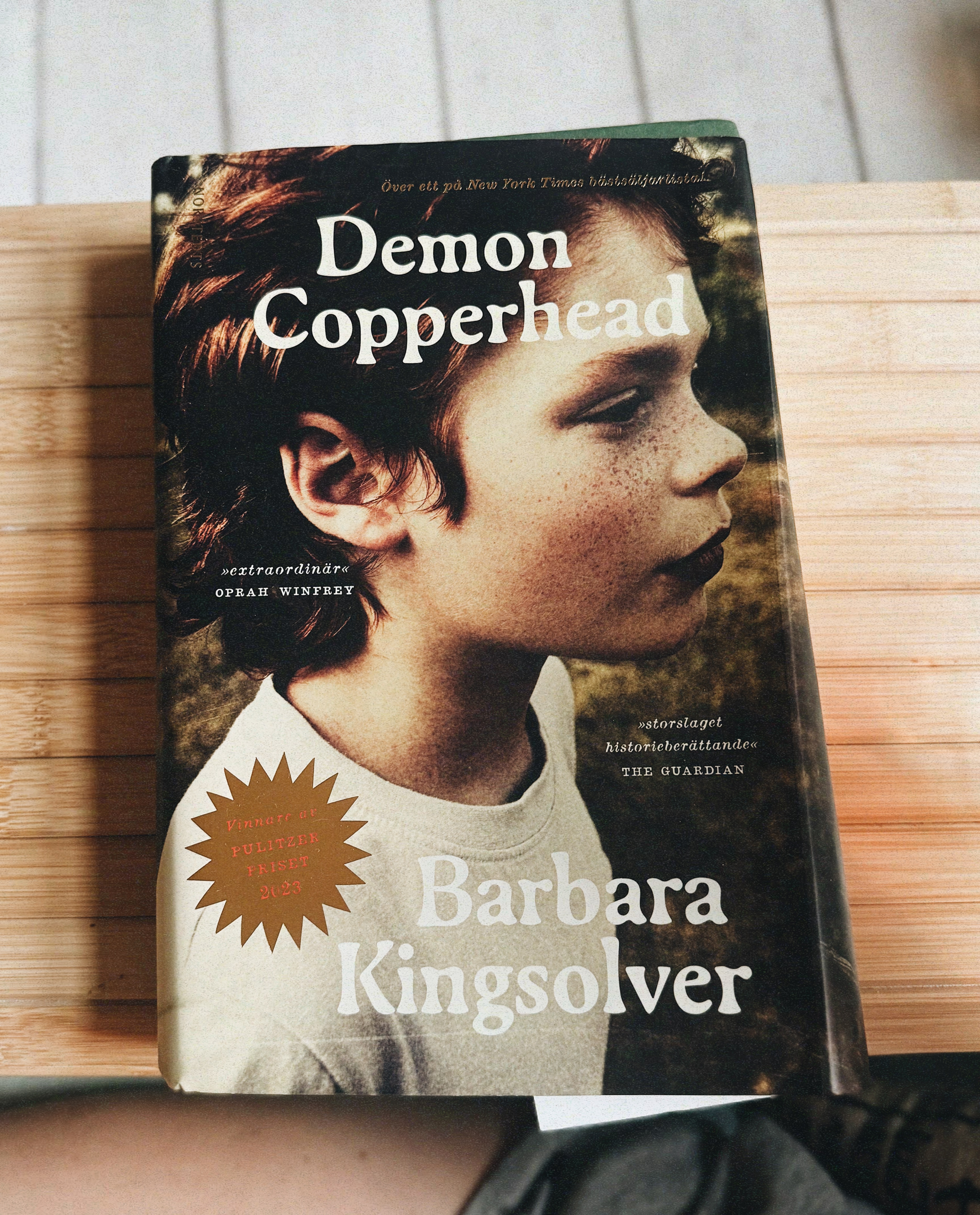 Demon Copperhead | Sandra Beijers blogg