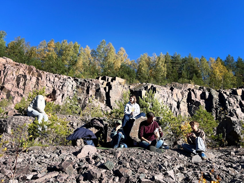 Hemlig öppning i skogen, foto #10 av Malin Wollin
