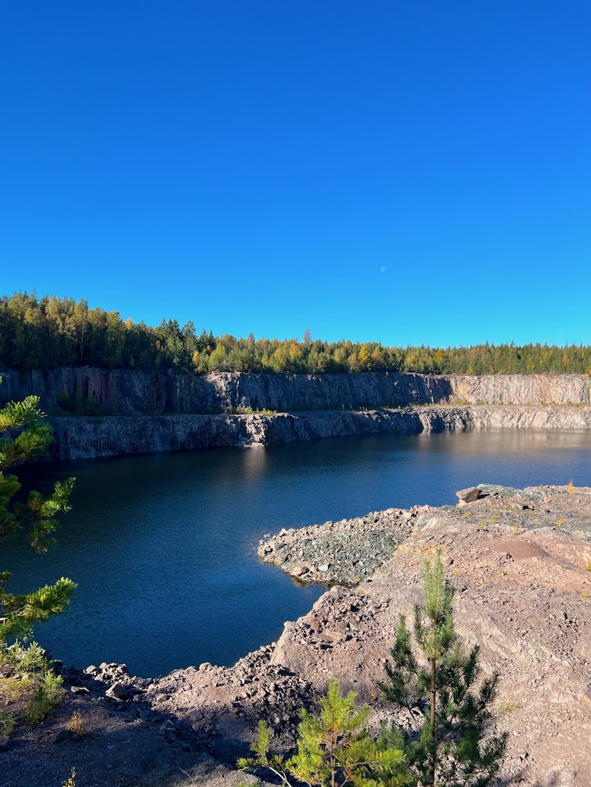 Hemlig öppning i skogen, foto #3 av Malin Wollin