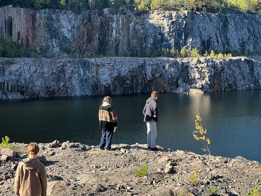 Hemlig öppning i skogen, foto #5 av Malin Wollin