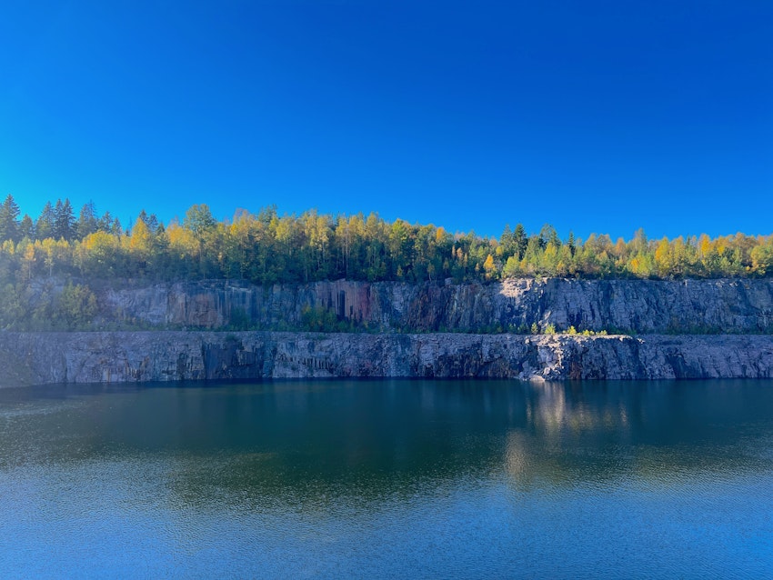 Hemlig öppning i skogen, foto #9 av Malin Wollin