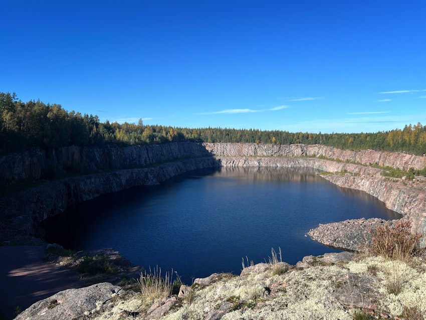 Hemlig öppning i skogen, foto #16 av Malin Wollin