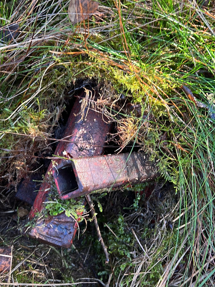 Hemlig öppning i skogen, foto #19 av Malin Wollin