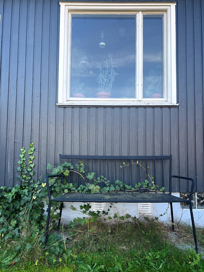 Murgröna, rosenskära och Anna-Karin Hatt, foto #1 av Malin Wollin