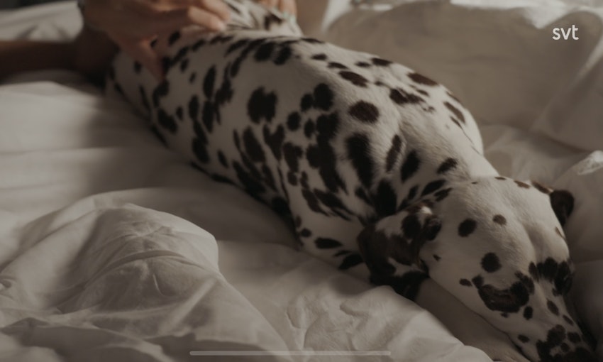 Gift vid första ögonkastet- avsnitt 3, foto #1 av Malin Wollin