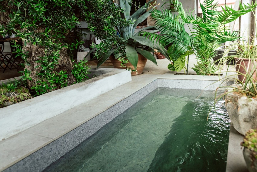 FREDAGSHUS! TVÄTTA HÅRET BLAND TAKÅSARNA, foto #7 av Malin Wollin